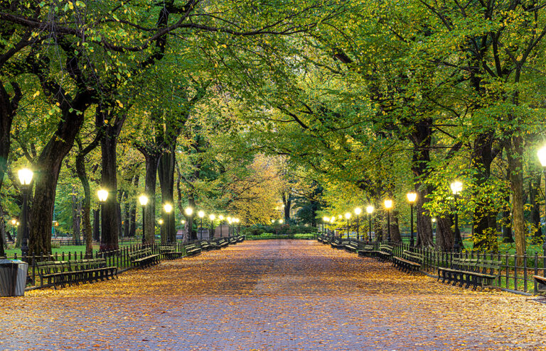 LED Post Top Light: Complete Guide to Modern Outdoor Illumination